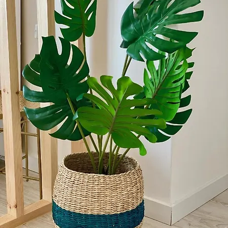 White Downtown Апартаменты Албуфейра