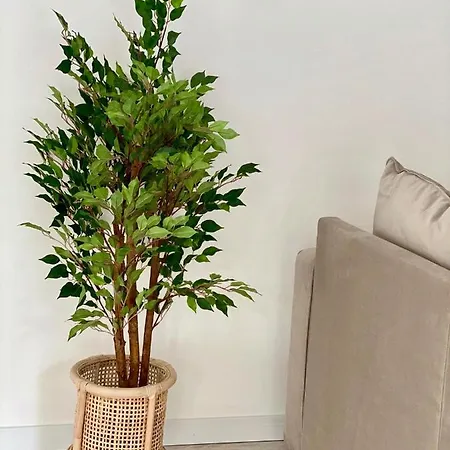 White Downtown * Албуфейра