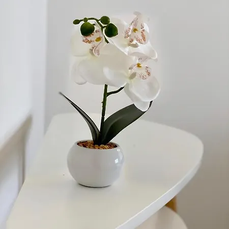 Appartement White Downtown